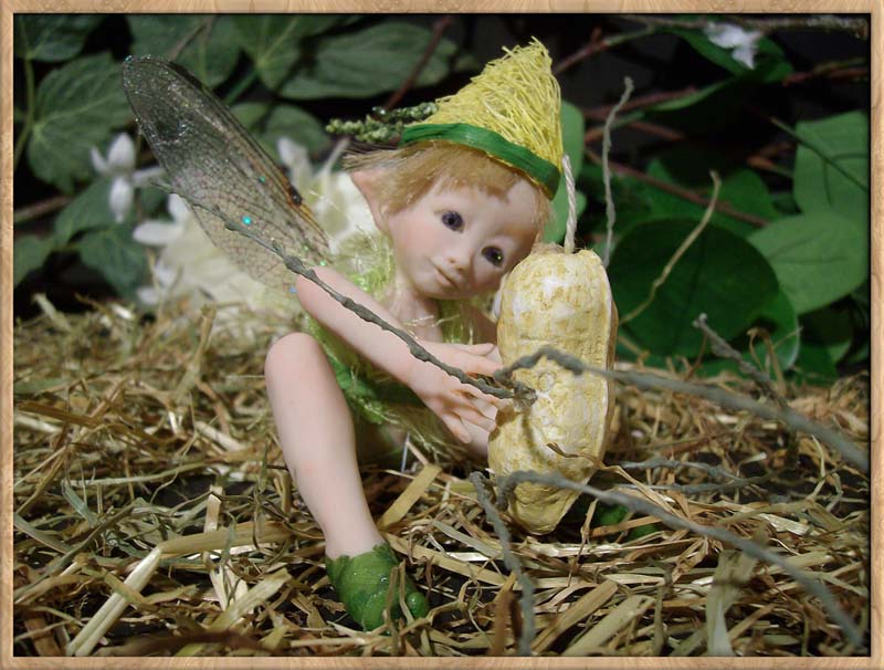 Baby Fairie Peo & Nut